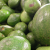 Mexico’s Agri-food Trade Surplus Increases by 61%